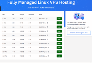 Hoswinds Linux VPS hosting plan