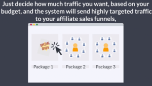 12 minute affiliate-Traffic package