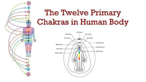 What Are The Chakras